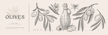 Hand-drawn Branches With Fruits And Olive Flowers, Olive Oil Bottle In Engraving Style. Can Be Used For Design Organic Cosmetics, Menu, Packaging. Botanical Illustration On Light Isolated Background.