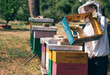 Beekeeper woman working in apiary