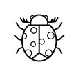 biedronka, insekt - ikona wektorowa