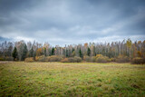 Fototapeta  - skraj Białowieskiego Parku Narodowego. jesienne kolory i pochmurne ciężkie niebo tworzą spektakularny widok