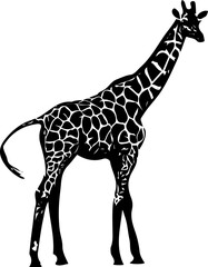 silhouette of Giraffe, sketch drawing of tiger, line art illustration of Giraffe, Giraffe vector