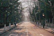 Long Road Through Bare Park Trees In Qingdao