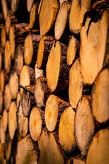 Sticker - Vertical closeup shot of a pile of logs and firewood