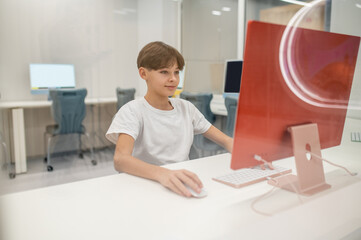 Wall Mural - A schoolboy sitting at the computer at school and looking involved