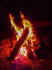 Canvas Print - Vertical shot of burning firewood logs in the dark