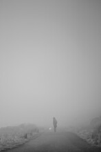 Vertical Grayscale Shot Of A Lone Person With Their Dog On A Foggy Path