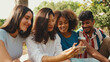 © Andrii Nekrasov - Happy, smiling multiethnic young people at picnic on summer day outdoors. Group of friends talking, using cellphone while relaxing in the park at picnic