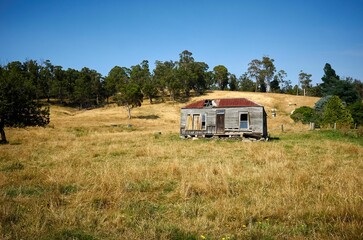 Wall Mural - Old wooden cottage in the middle of yellow grass  and trees in Tasmania, Australia