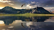 An Eagle Flying Over Lake Toward A Mountain. A Cloudy Sky In A Sunny Day.