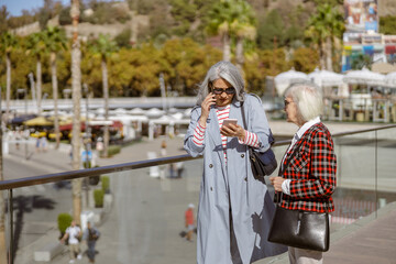 Wall Mural - Female friends having conversation on promenade by sea