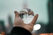 Closeup of a person's hand holding a glass ball with Downtown Toronto in the reflection