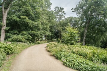 Staffordshire Lakeside Woodland Path Sunny Day