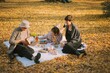 Group of women enjoying an autumn picnic at Yoyogi Park, Tokyo, Japan
