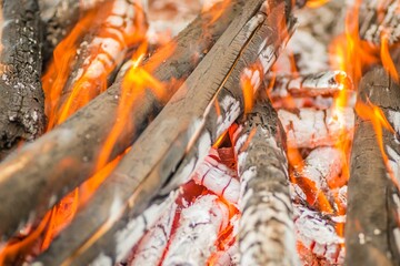 Wall Mural - Pieces of logs, firewood, charcoal, and ashes in the flame