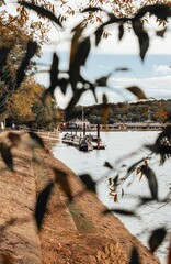 Sticker - Vertical shot of boats sailing next to coastline captured from behind the tree leaves