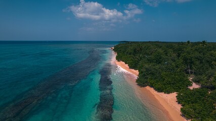 Sticker - View of the calm turquoise sea, sandy beach and dense green forest along the coast under blue sky