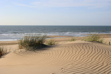 Beautiful sand dunes and wide beaches on the North Sea coast in South Holland, The Netherlands. 