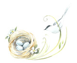 Fototapeta  - Bird on a nest. Pattern with bird and eggs. Watercolor hand drawn illustration