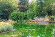 Lake in Ata botanical garden in summertime in Erzurum, Turkey