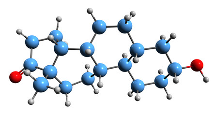 Canvas Print - 3D image of Norandrosterone skeletal formula - molecular chemical structure of metabolite of nandrolone isolated on white background