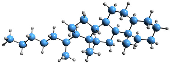 Wall Mural - 3D image of Norcholestane skeletal formula - molecular chemical structure of steroid derivative isolated on white background