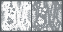 Natural Wildflowers And Herbs Print. Vector Set Of Monochrome Seamless Patterns With Grass Leaf Silhouettes. Stamp Leaves. Floral Background. Meadow Plants Wallpaper. Great For Vintage Floral Design.