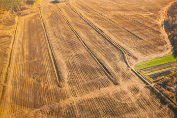 Wall Mural - Aerial view autumn field landscape with trails lines. Top view of empty clean field in sunny autumn day. Drone view bird's eye view. High attitude in autumn season.