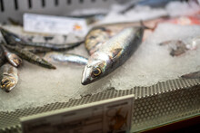 Fresh Sardines On Ice Displayed At A Restaurant In The Algarve, Portugal