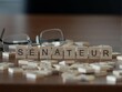 sénateur mot ou concept représenté par des carreaux de lettres en bois sur une table en bois avec des lunettes et un livre