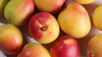 Wall Mural - Fresh ripe juicy yellow orange red apricot fruit pile whole cut half slice seed on white background turn rotate move flat lay top view