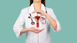 Female doctor Gynecologist with a stethoscope holds model of female reproductive system in the hands. Help and care concept