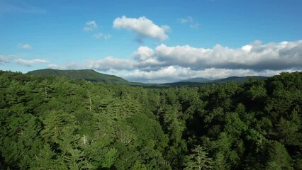 Wall Mural - Drone shot of Blue Ridge Mountains and Linville Gorge, North Carolina