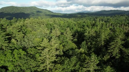 Wall Mural - Drone shot of Blue Ridge Mountains and Linville Gorge, North Carolina, tilted downward