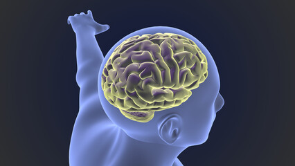 Wall Mural - Human brain with body medical background	
