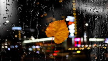 Yellow Leaves And  Rain Drops On Wet  Window Glass ,Rainy Weather, Pedestrian With Umbrella ,  Bokeh Bluured Night City Light  ,Autumn Season Background Template Banner 