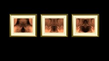 Composition Of 3 Clasic Frames With 3 States Of Arousal Of The Female Vulva On A Black Background,
