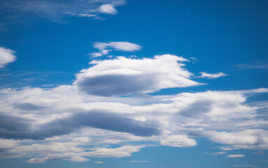 Wall Mural - White cloud on blue sky in daylight