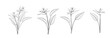 Set of different flowers strelitzia on white background.