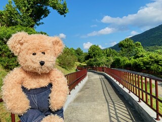 in the sunny afternoon,toy bear on the trail on yangmingshan in taipei. yangmingshan is a place name