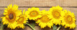 Leinwandbild Motiv Beautiful fresh sunflowers on wooden background