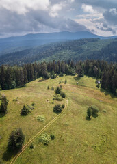 Wall Mural - aerial view of a forest path passing through a picturesque summer meadow and coniferous forest, the 