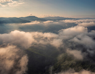 Wall Mural - Amazing aerial view of beautiful low clouds creeping on the tree-covered mountain slopes, the Rhodopes in Bulgaria at sunrise.
