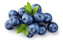 Blueberry Isolated. Blueberries With Leaves On White. Blueberry Top View On White Background. With Clipping Path.