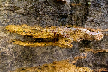 rocks near the beach with a great variety of veins of different colors and minerals, live and natural colored rocks