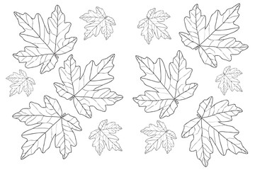 Wall Mural - Maple Autumn Leaf is designed for cards, coloring, tattoo, clothing and cloth printing and you can use it in various occasions.