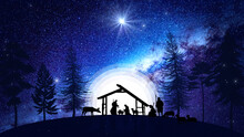 Christmas Nativity Scene Animation With Real Animals And Trees On Starry Sky