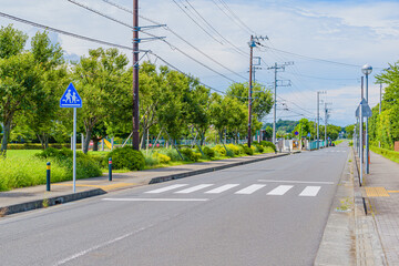 Wall Mural - 【交通標識】横断歩道、横断歩道指示標識