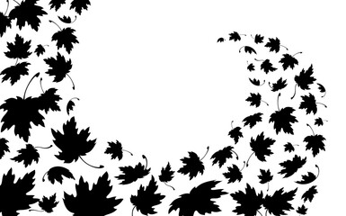 maple autumn falling leaves. autumn background with flying maple leaves. template for wave autumn pa