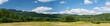 © Guy - Panoramic view of a forest in the Adirondack Mountains in summer