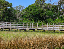 Landscape With Walkway Over Marsh